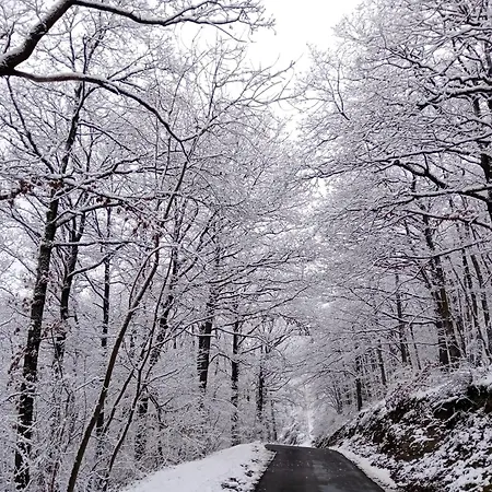 Louloudia - Bonsoy Jaune 12 - In Het Bos Met Mooi Zicht En Rustig Gelegen Holiday home
