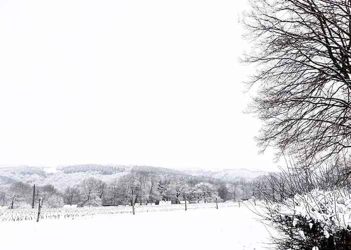Louloudia - Bonsoy Jaune 12 - In Het Bos Met Mooi Zicht En Rustig Gelegen *
